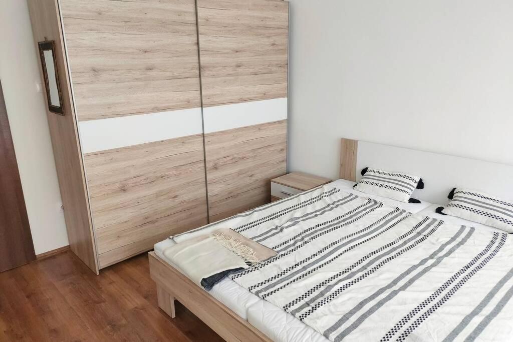 דברצן Plaza Apartman - City Center, Free Parking, Free Wifi מראה חיצוני תמונה
